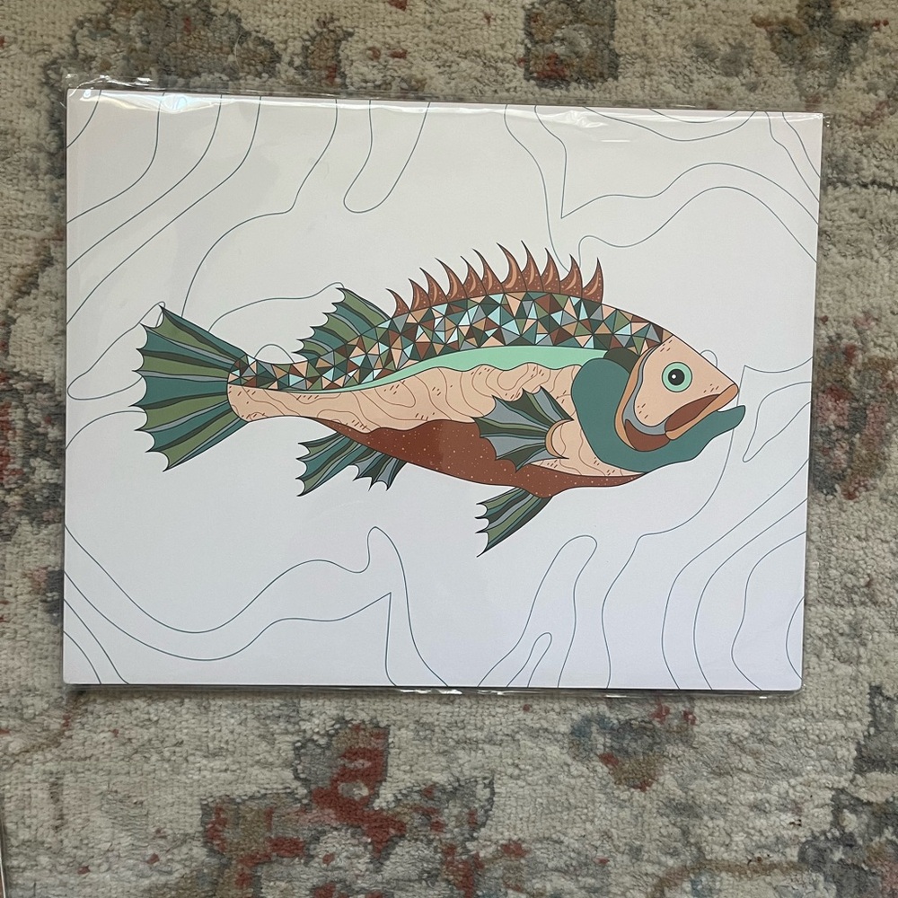 NWT abstract fish. 11x14 still in plastic